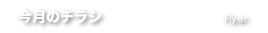 チラシ情報